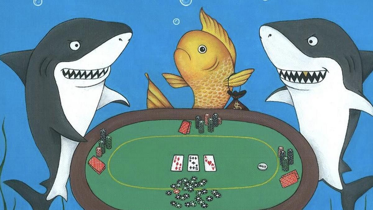 Как проходит обучение в школе покера